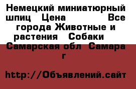 Немецкий миниатюрный шпиц › Цена ­ 60 000 - Все города Животные и растения » Собаки   . Самарская обл.,Самара г.